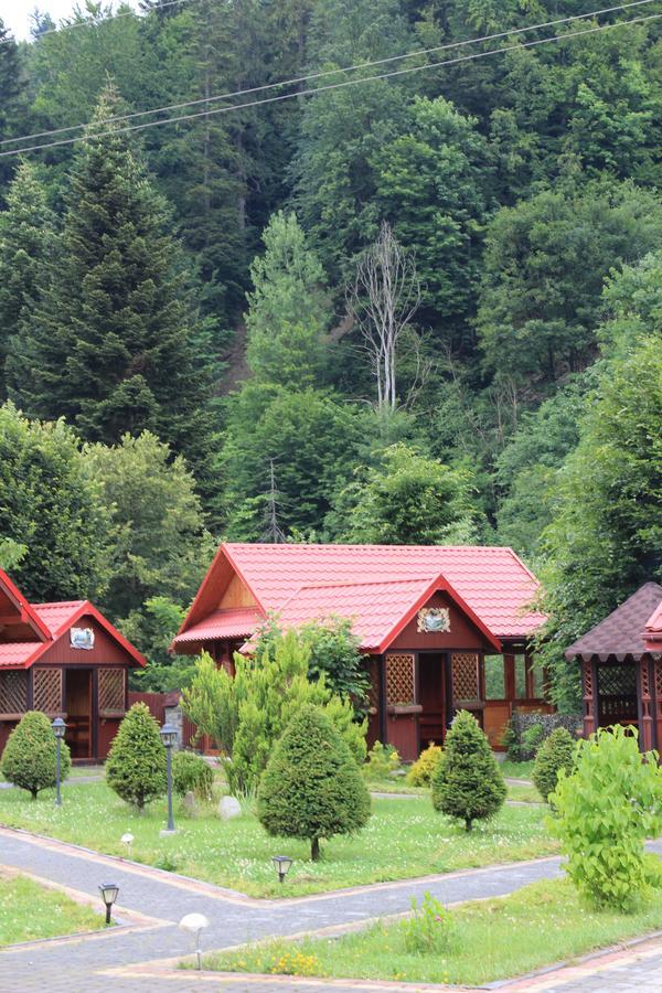 Hotel Sokolyne Gnizdo Korostov Exterior foto